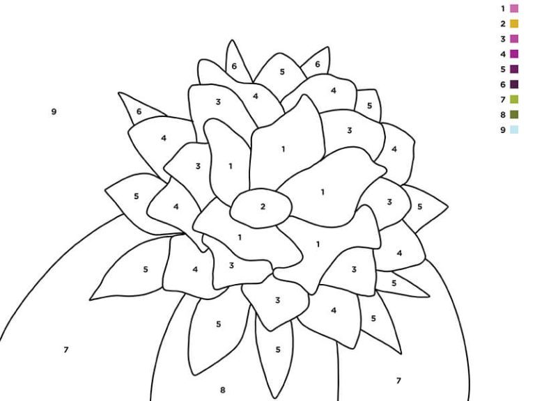 Activity | Paint By Number