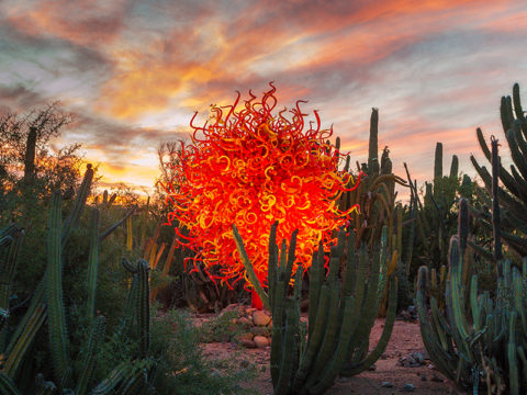 Chihuly Encabezado