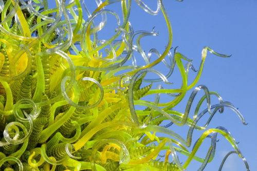 Chihuly Fairchild