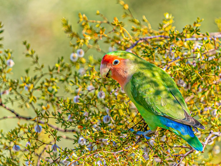 August EcoQuest