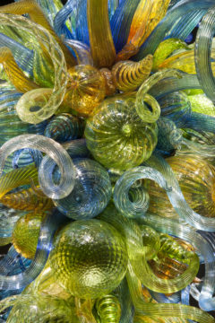 Chihuly in the Desert