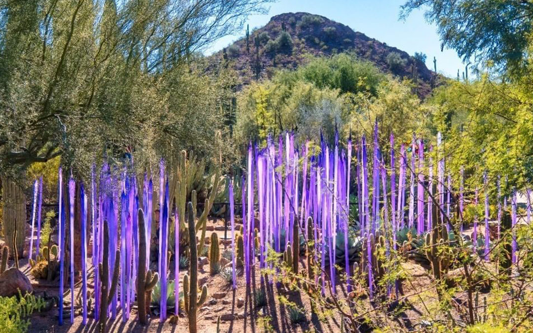 Chihuly in the Desert