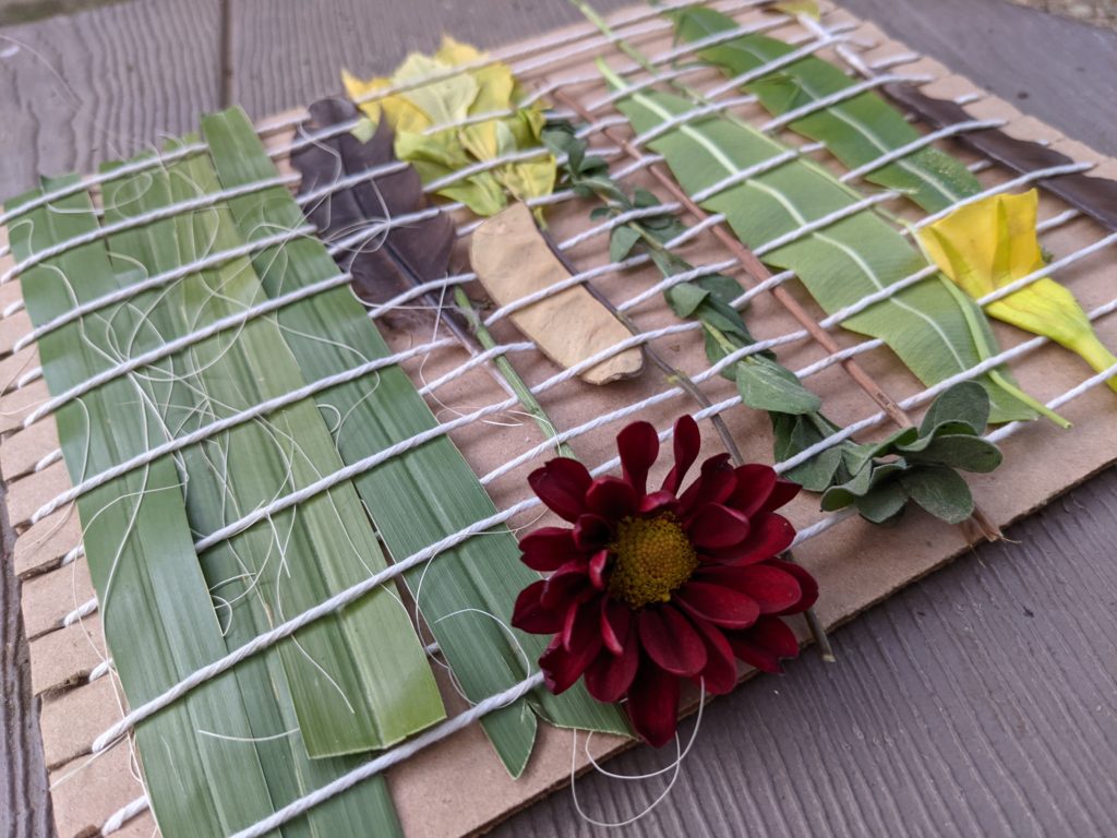 Activity | Weaving with Nature