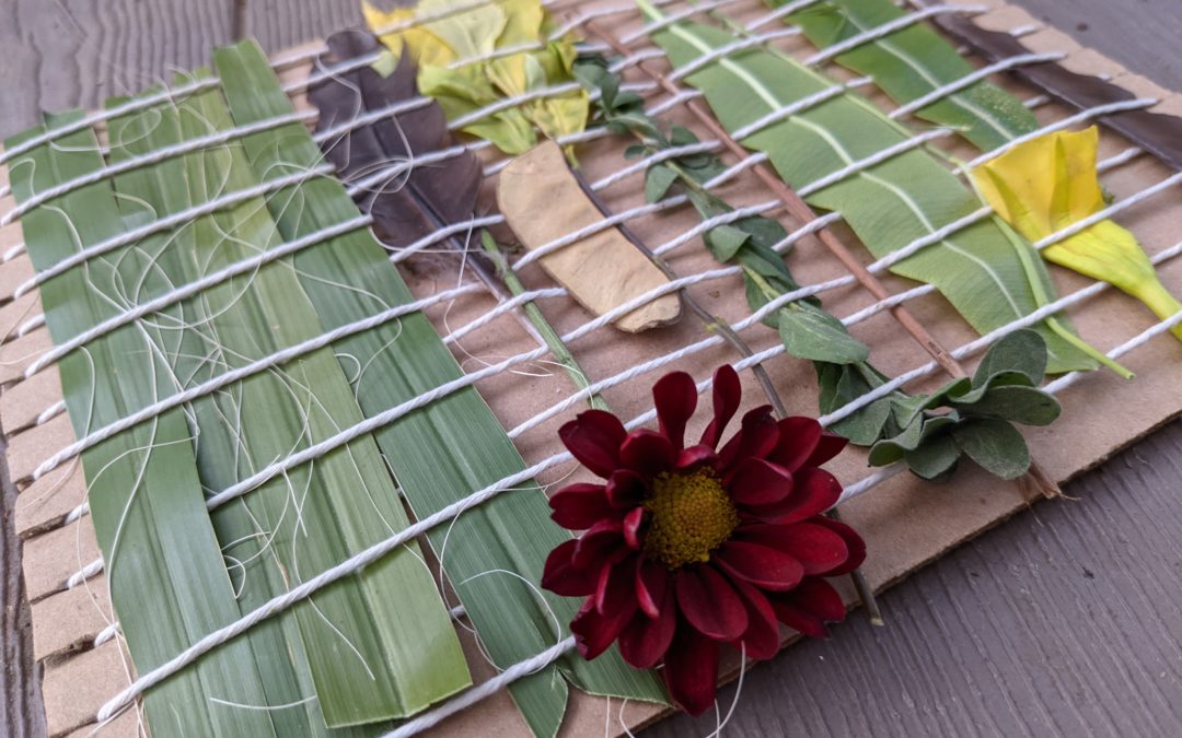 Activity | Weaving with Nature