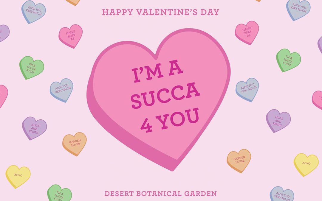 Valentine’s Day Digital Cards