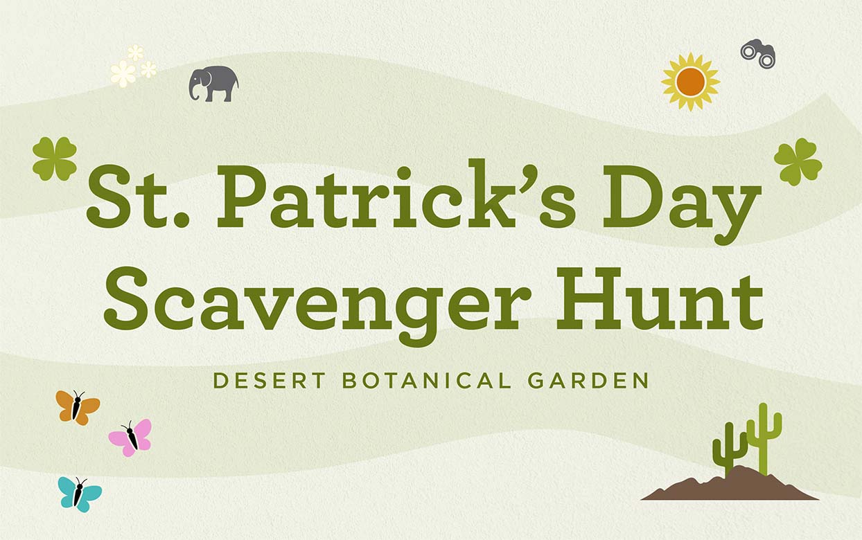 St. Patrick’s Day Scavenger Hunt