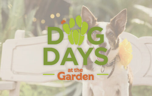 is desert botanical garden dog friendly