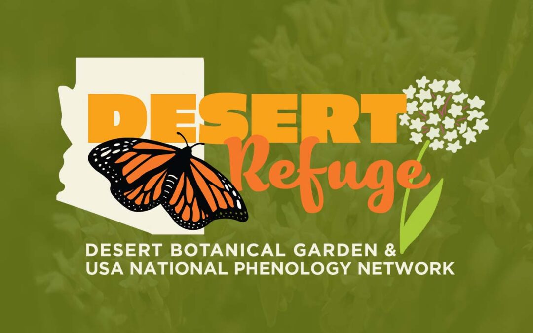 Desert Refuge: A New Way To Help Monarch Butterflies