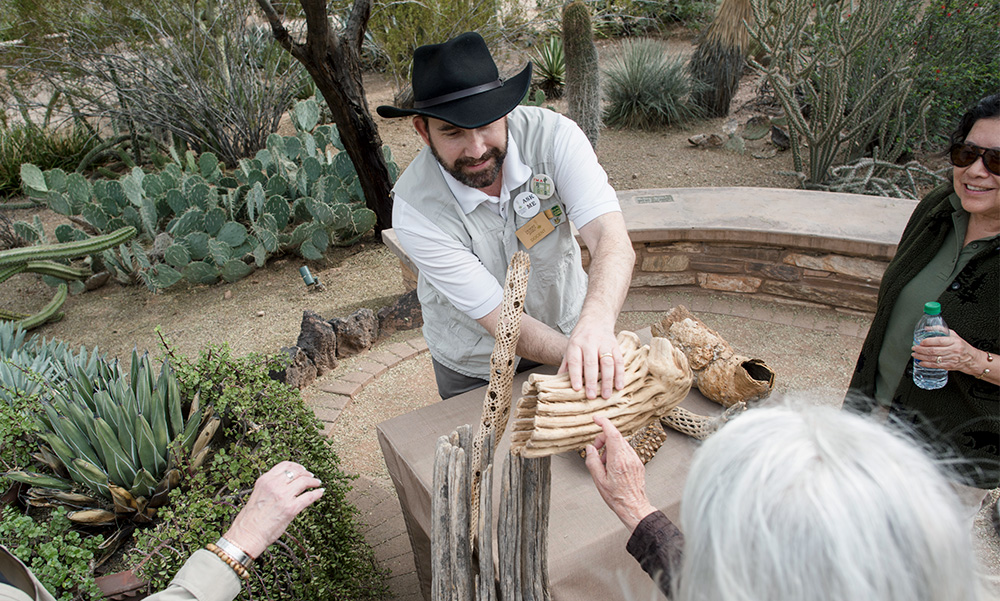 Plants & People of the Sonoran Desert Loop Trail
