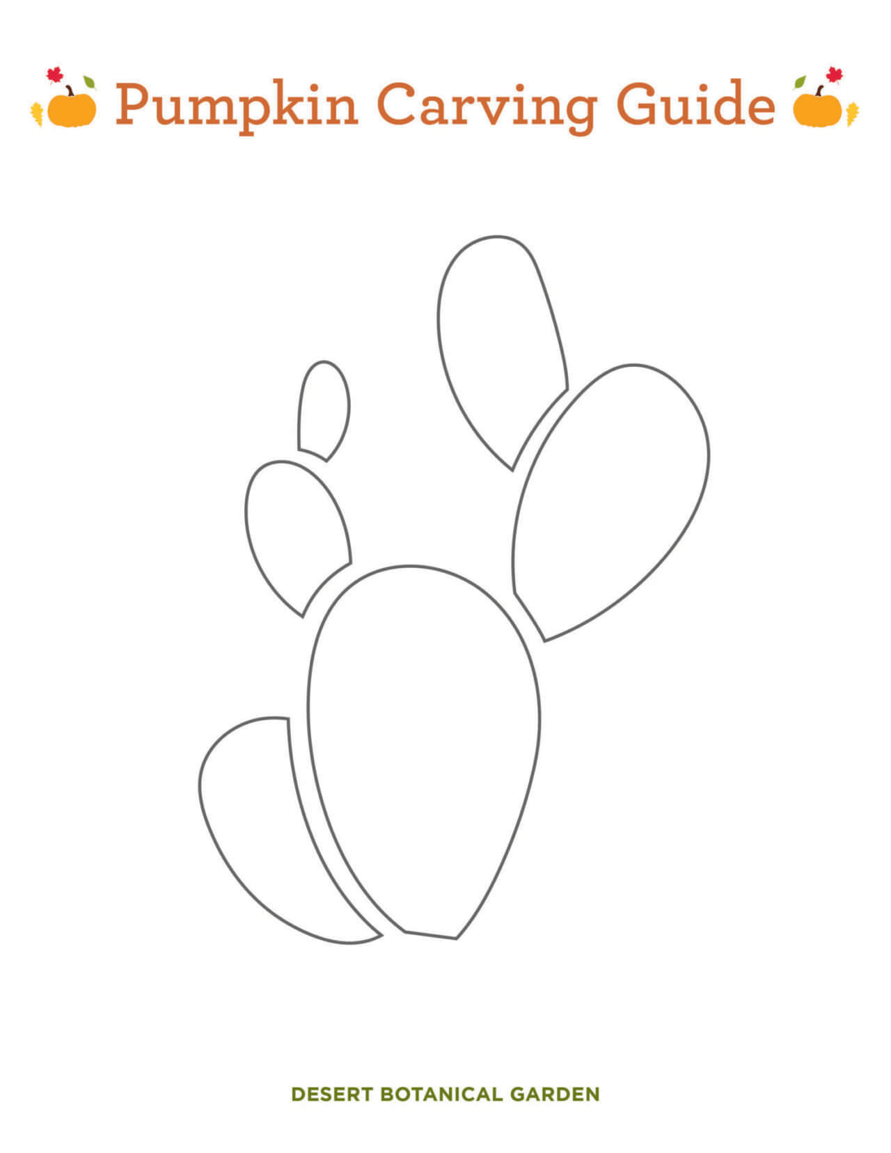 Pumpkin Carving Guide | Desert Botanical Garden
