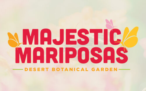 Hoa cảnh sa mạc (Desert botanical): Hình ảnh về hoa cảnh sa mạc sẽ làm bạn choáng ngợp bởi sự đa dạng và sắc màu của nó. Các loài thực vật sống sót trong cực khắc của sa mạc sẽ khiến bạn ngạc nhiên và thích thú khi khám phá. Nếu bạn muốn tìm hiểu thêm về những loài hoa đặc trưng của sa mạc, xin mời xem hình ảnh của chúng tôi.