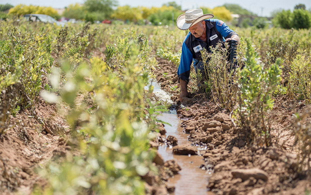 Meet Some of the Farmers from Spaces of Opportunity