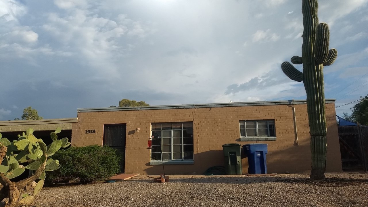 Saguaros Under Stress