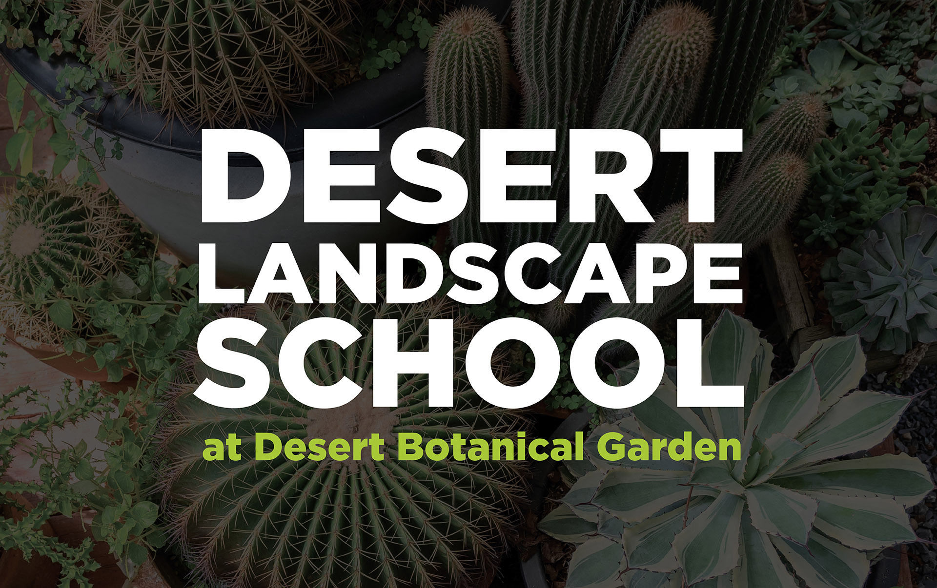 Desert Landscape School Classes