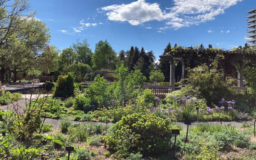 Bucket-list gardens  to add to your summer travel plans