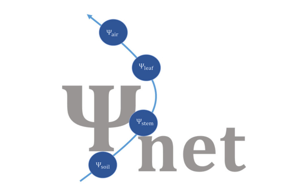 Launch of Global Water Potential Network by Lab Member Dr. Jessica Guo and Colleagues