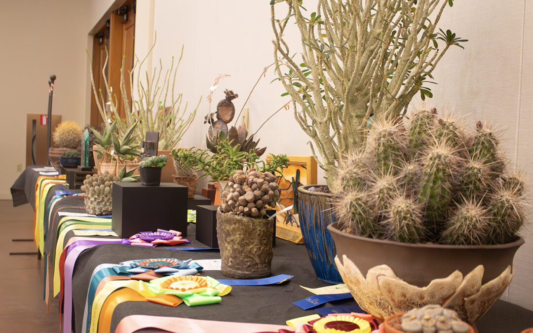 Central Arizona Cactus and Succulent Society Celebrates 50th Anniversary