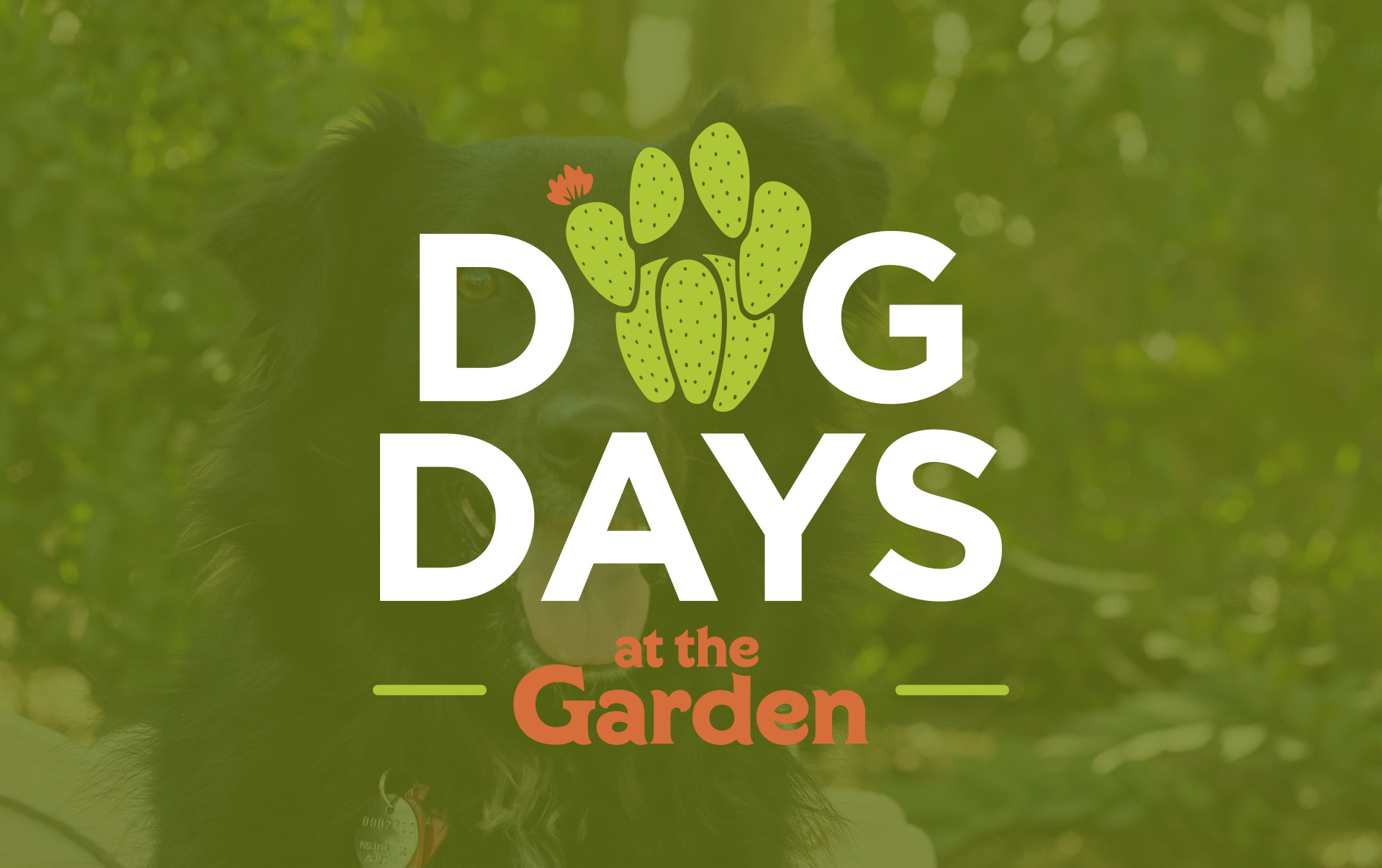 Dog Days at the Garden
