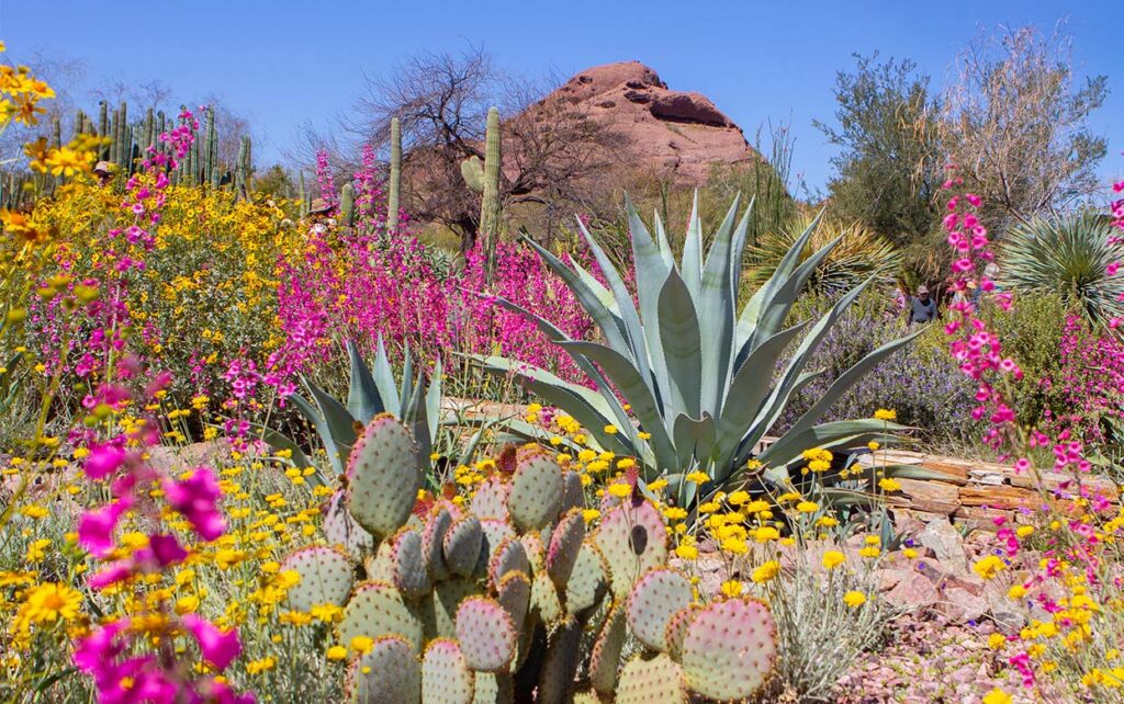 Celebrating 85 Years of the Garden: 85 Years and Counting