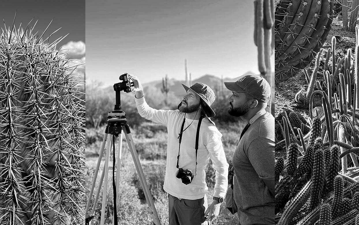 Desert Botanical Garden Begins 2-Year Immersive Artwork with ScanLab Projects