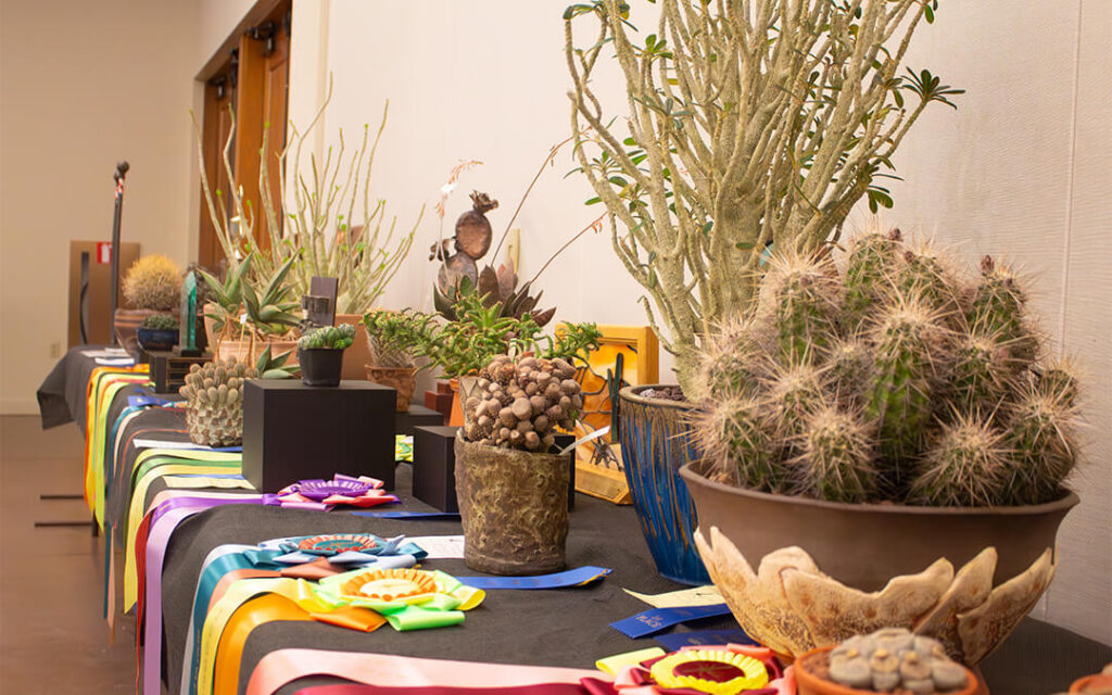 Your Guide to the 2026 Central Arizona Cactus & Succulent Show & Sale
