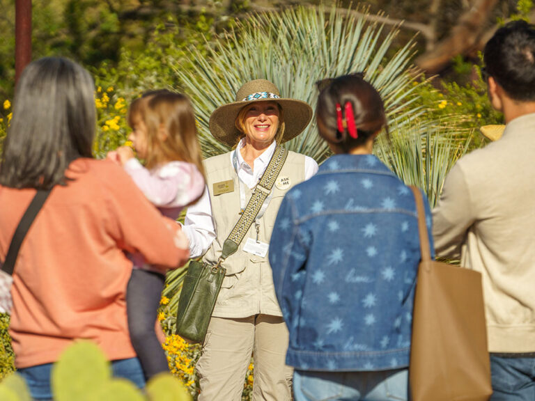 Celebrating Desert Botanical Garden’s 663 Volunteers 