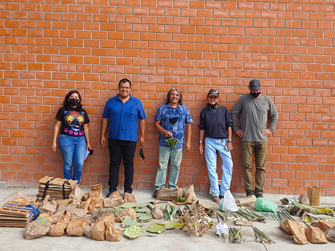 Cactus Leather Bags