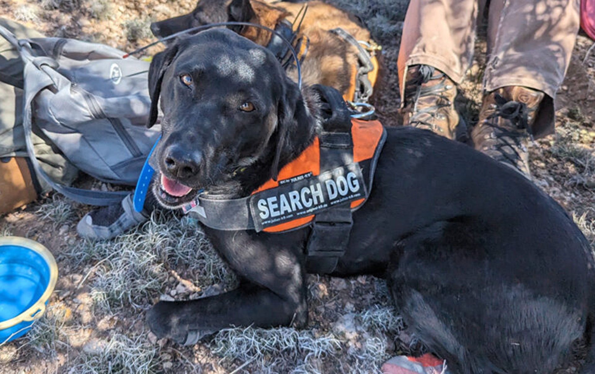 The Team Sniffing Out Endangered Plants