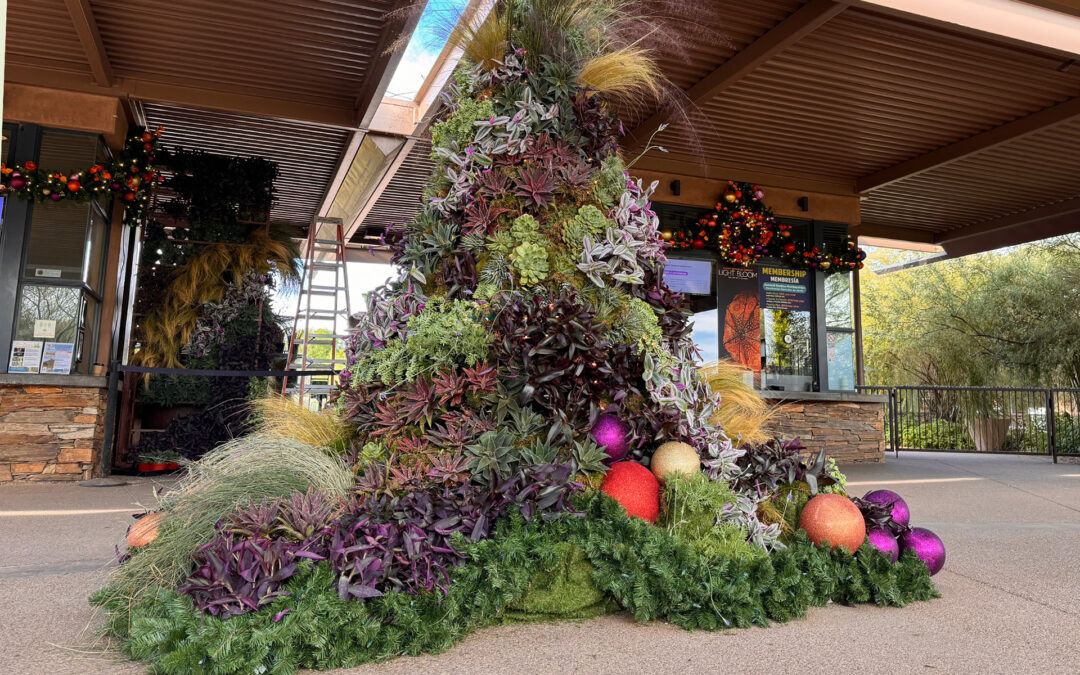 Living Holiday Displays Coming to the Garden