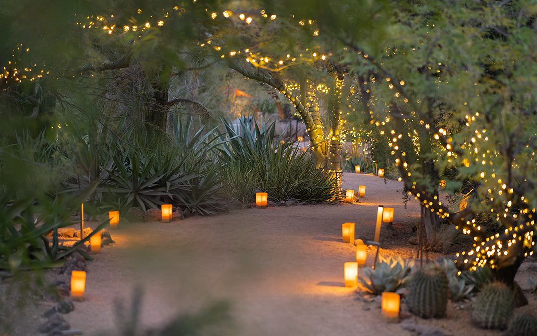 Las Noches de las Luminarias Through the Years