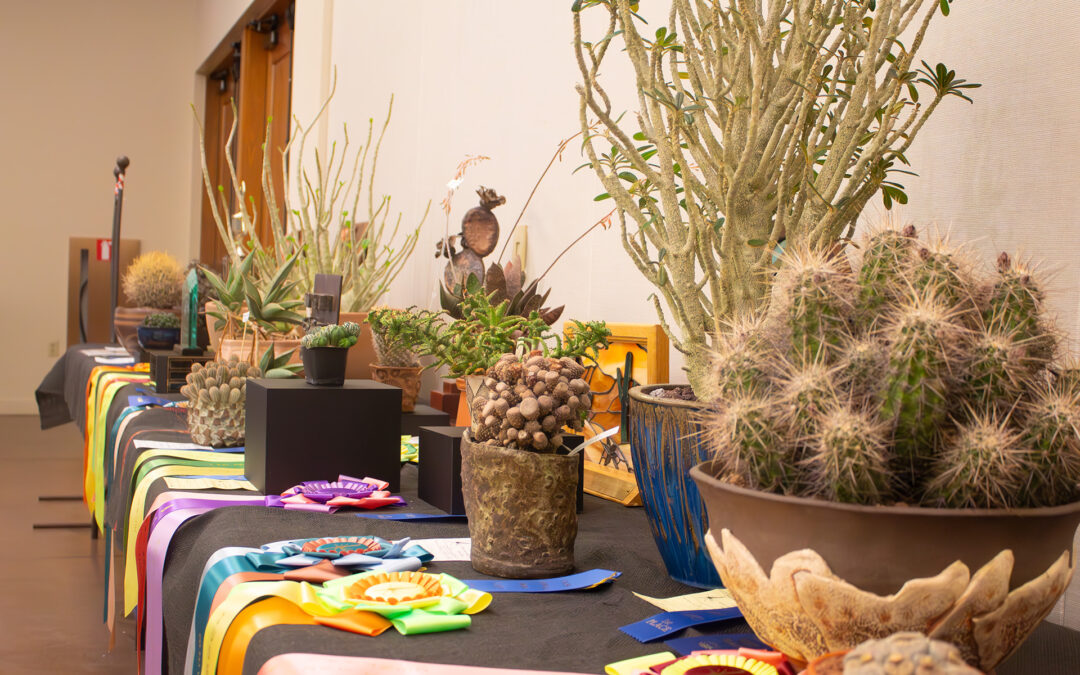 The Central Arizona Cactus and Succulent Society Annual Show & Sale 2025