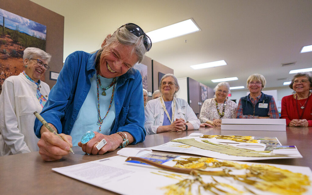 Desert Botanical Garden Herbarium Celebrates Adding Its One Hundred Thousandth Accessioned Specimen