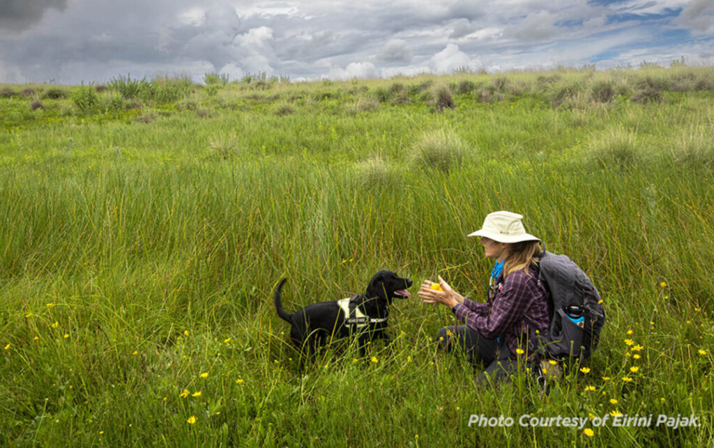 The Nature Conservancy Protecting Canelo Hills Cienega Preserve and Endangered Orchid Habitat for 50+ Years