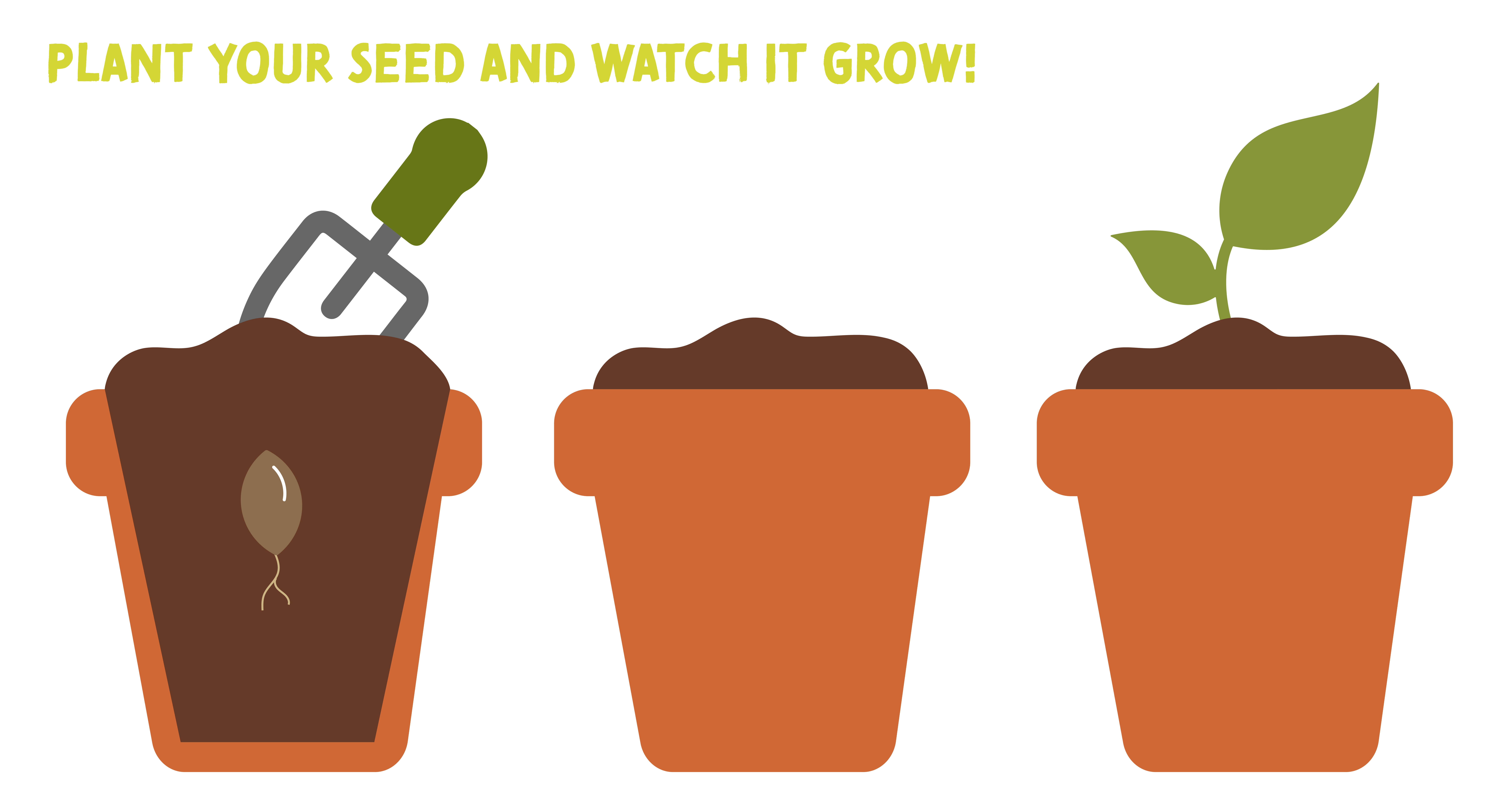 5.Plant 5.Plant