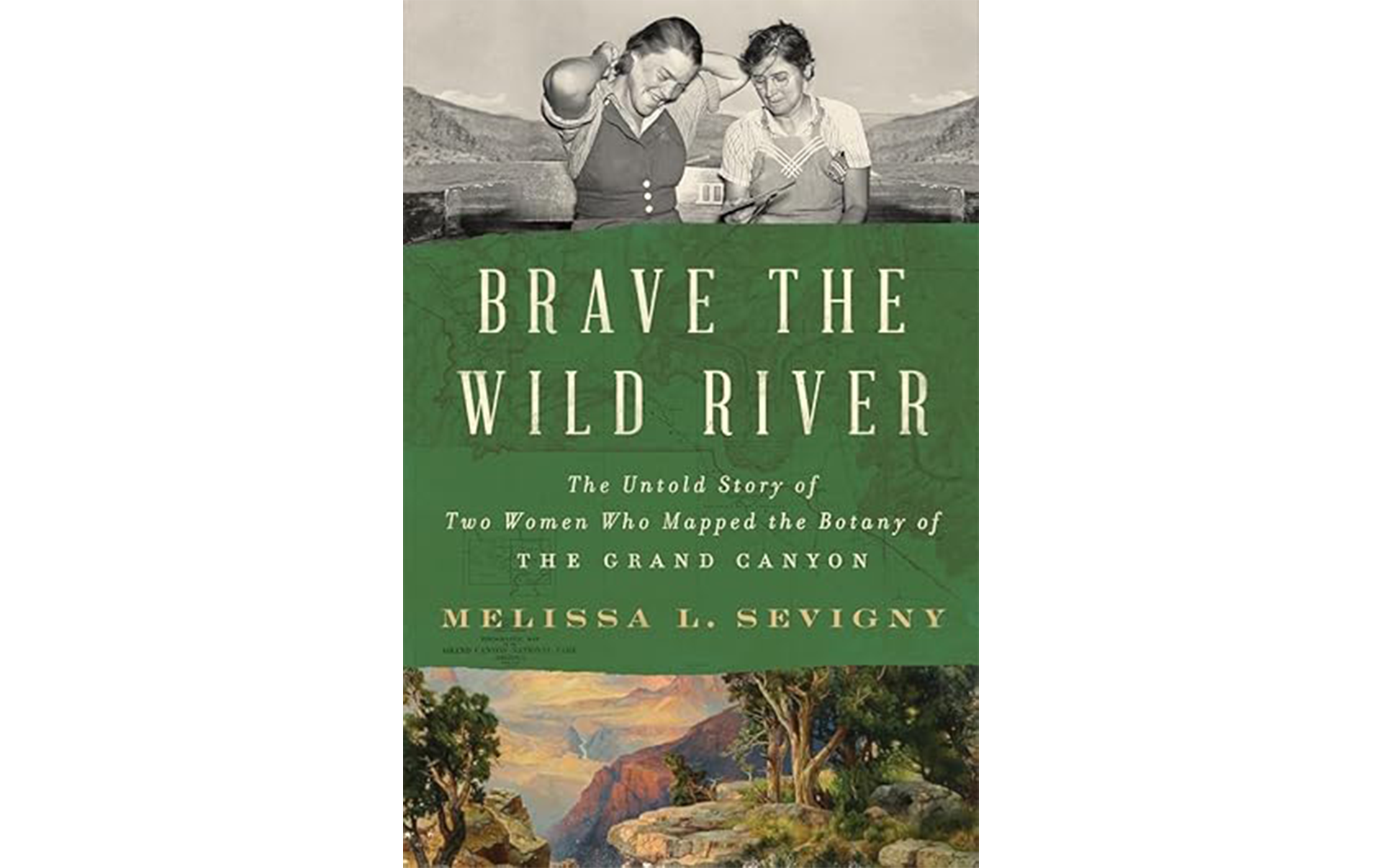 Brave the Wild feature Brave the Wild feature