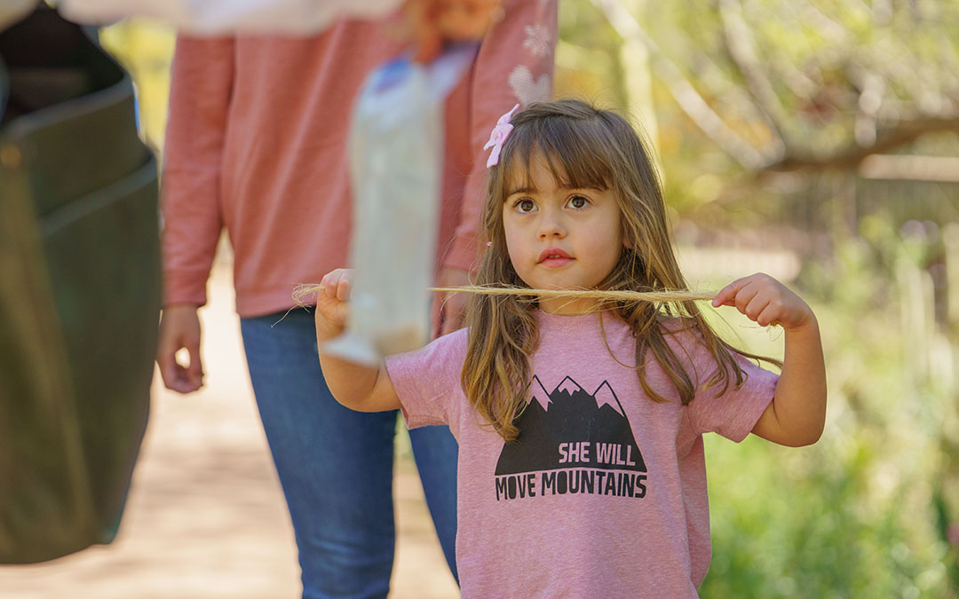 Girl Scouts at Looking at a Bug at Desert Botanical Garden