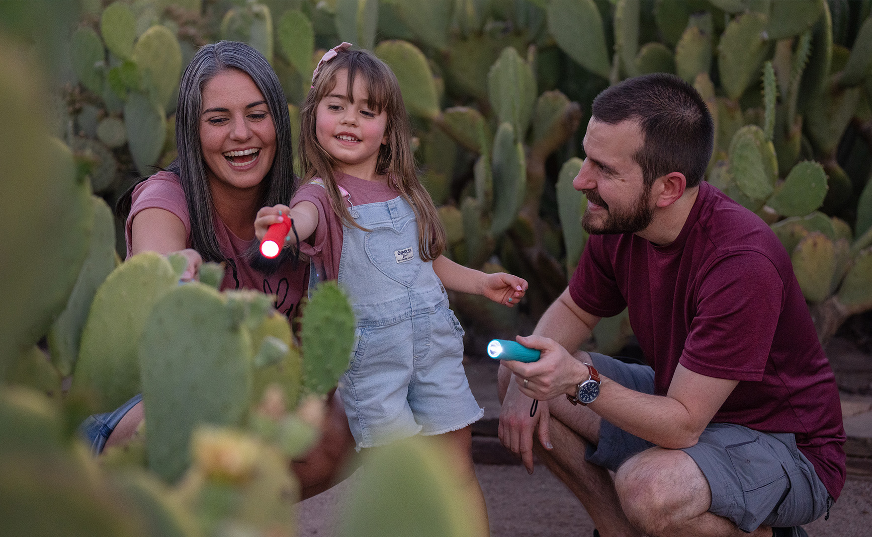 FLN Feature Orchid Feature