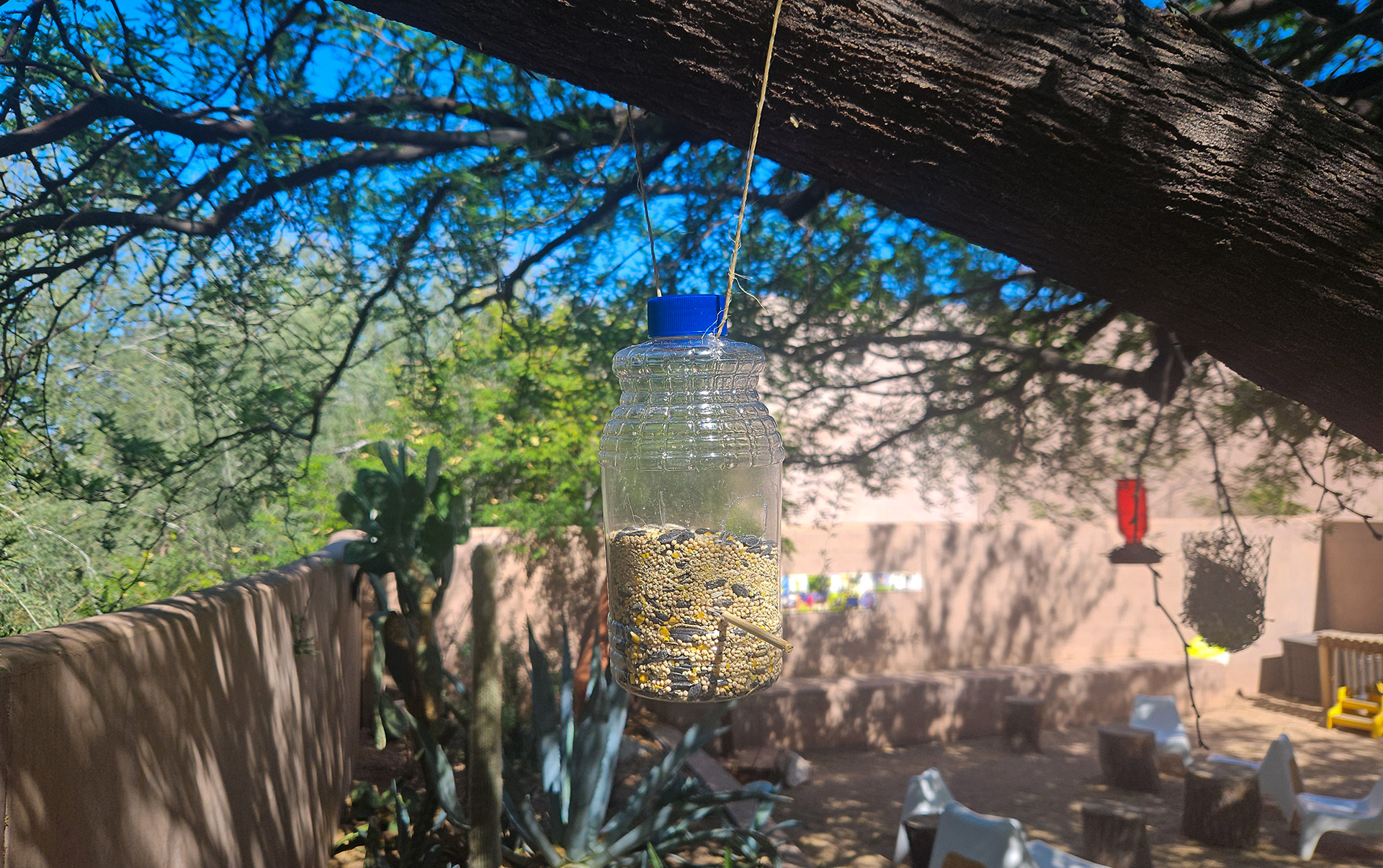 Bird Feeder from Reused Materials