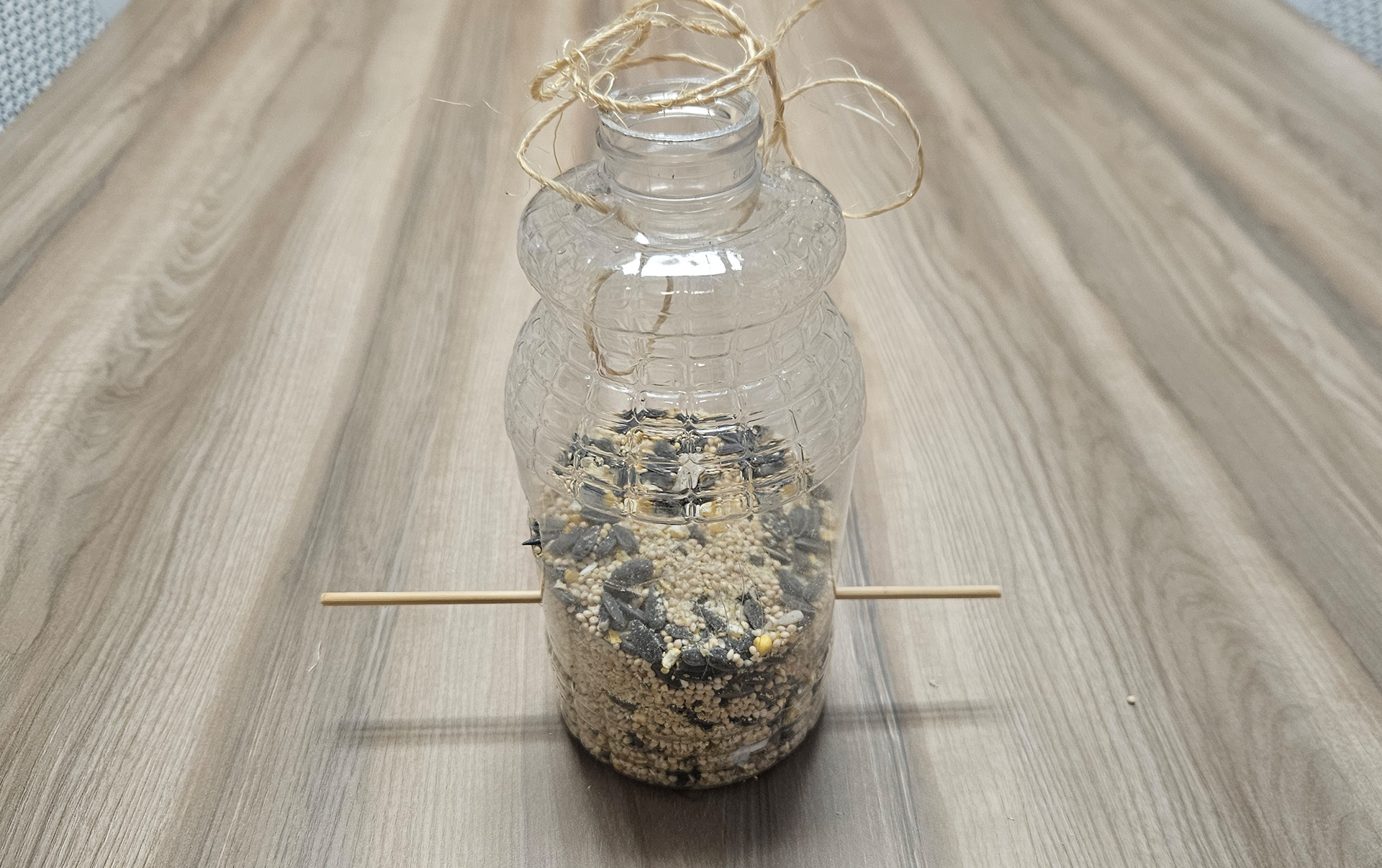 bird feeder bird feeder 2