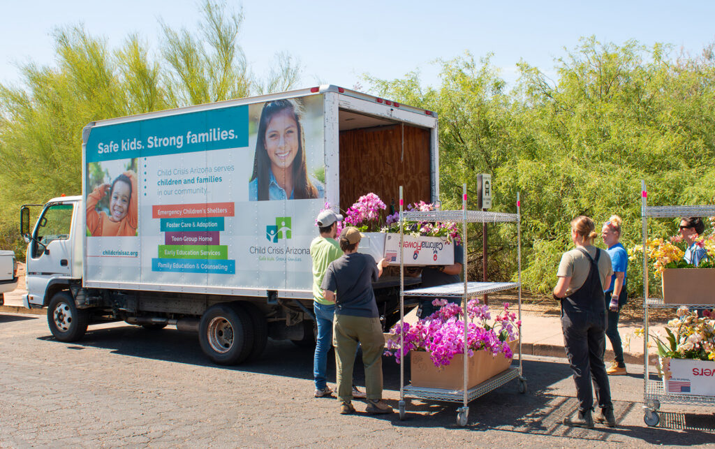 Desert Botanical Garden Donates more than 2,000 Orchids to Three Valley Organizations