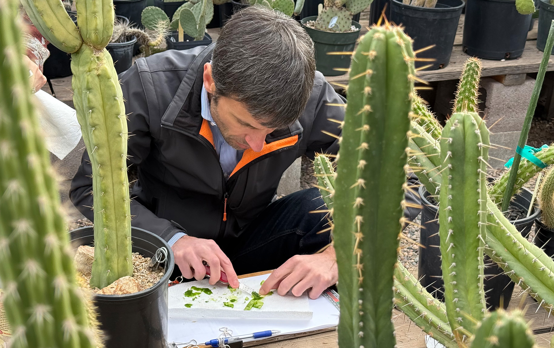 Tissue Sampling a Desert Botanical Garden Icon