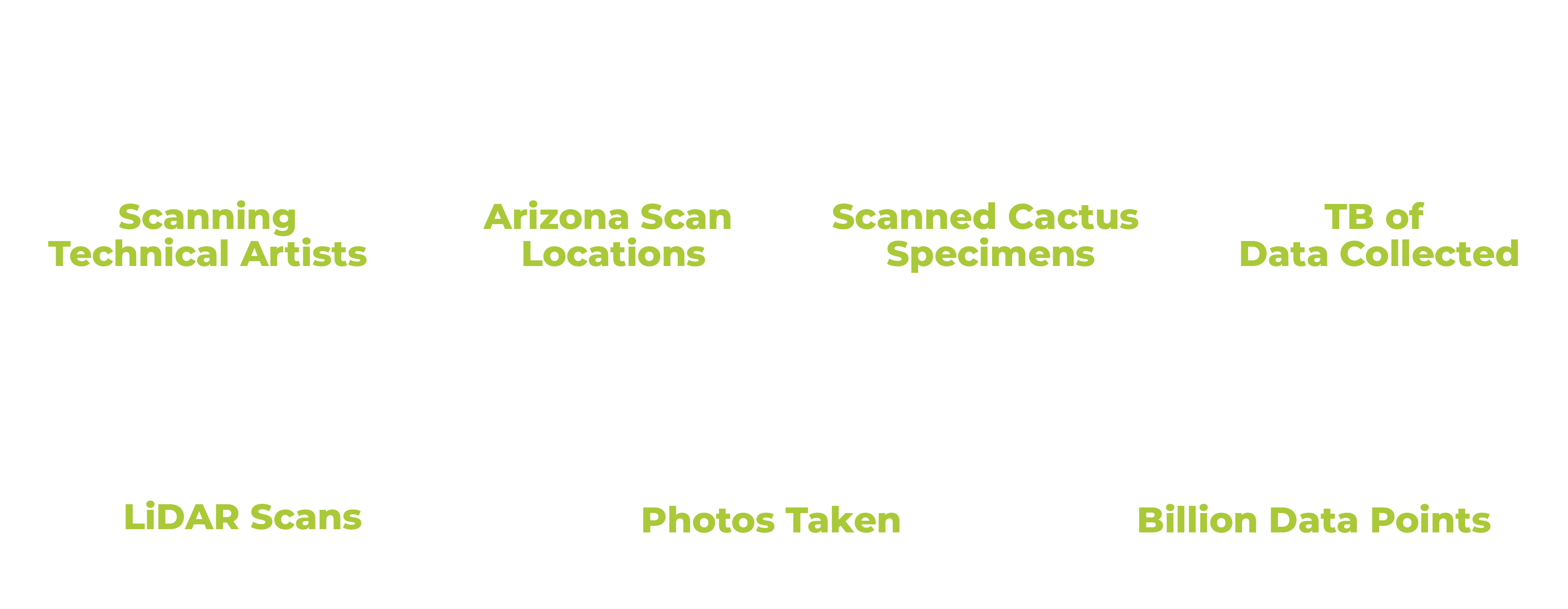 By the Numbers Desert Pulse TBD