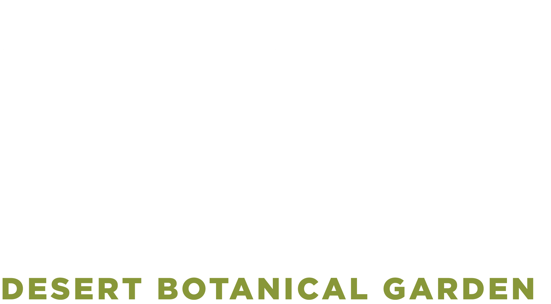Desert pulse logo