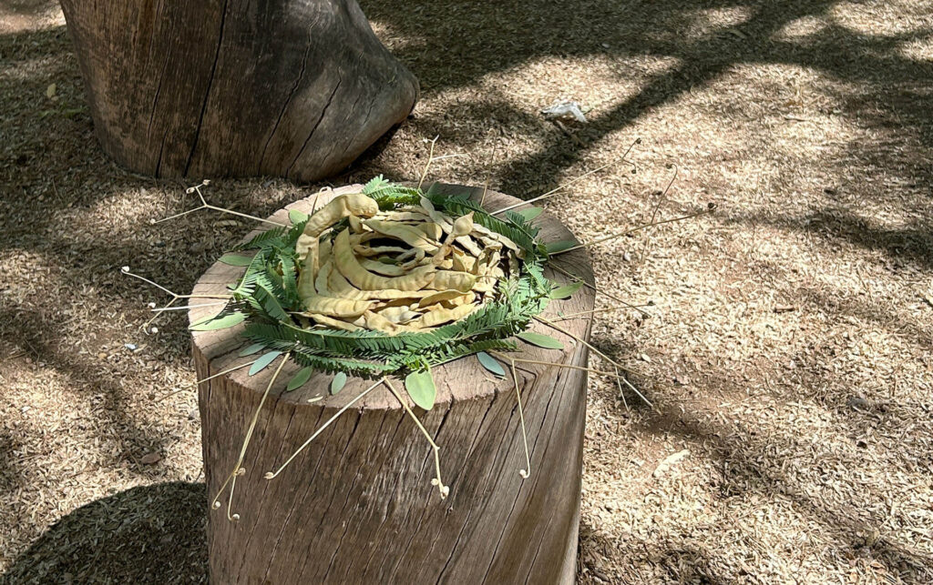 Land Art Explorations