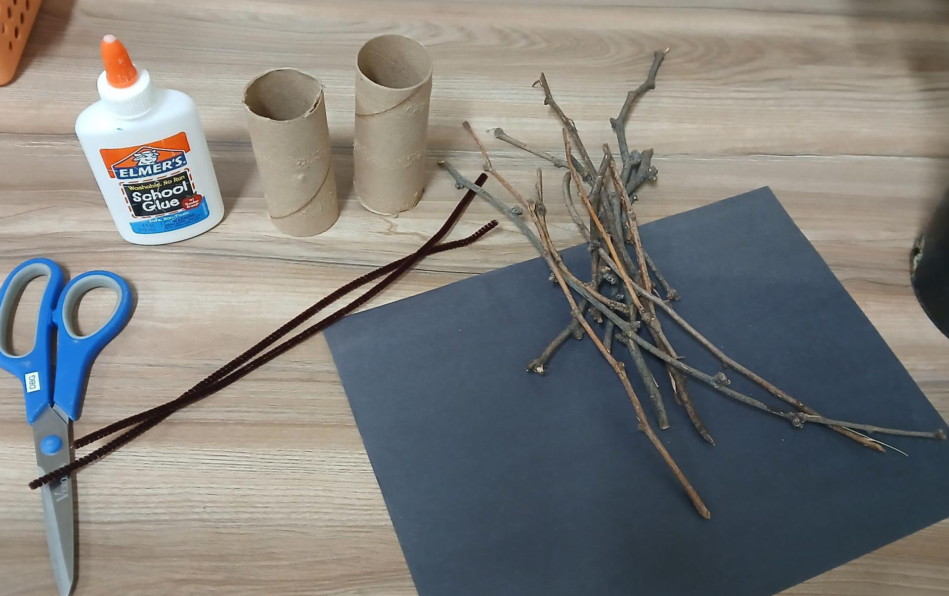 Ephemeral Art with Desert Botanical Garden