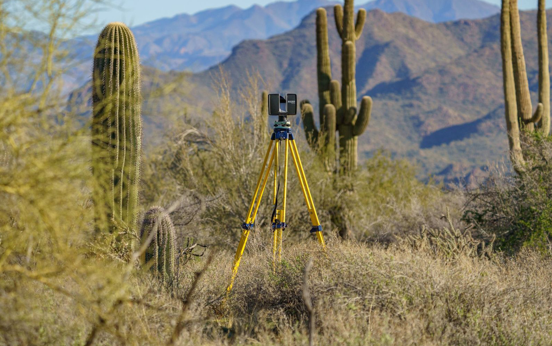 desert pulse gallery feature