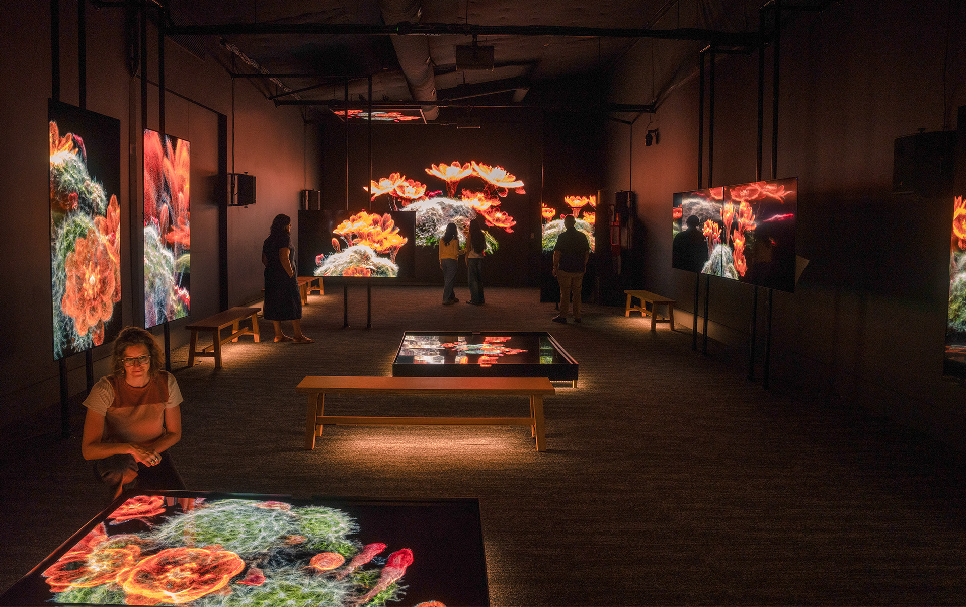 desert pulse gallery feature