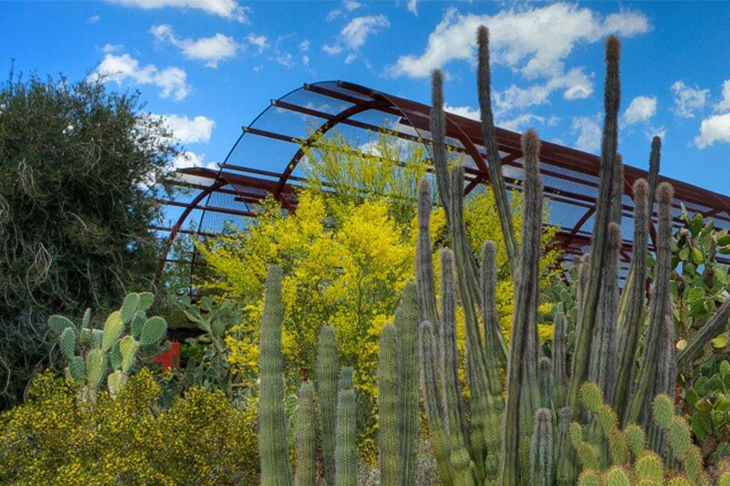 building-with-garden-plants-dbg