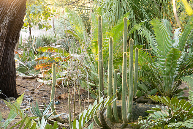 donate_planned-giving