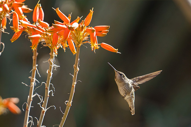 headshot of Dana Terrazas
